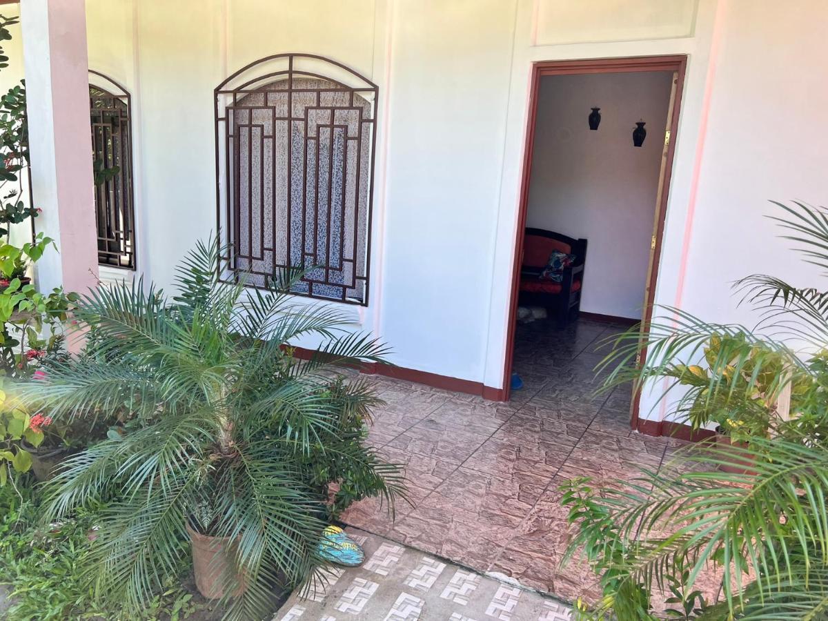Natural Experience House Tortuguero Bagian luar foto