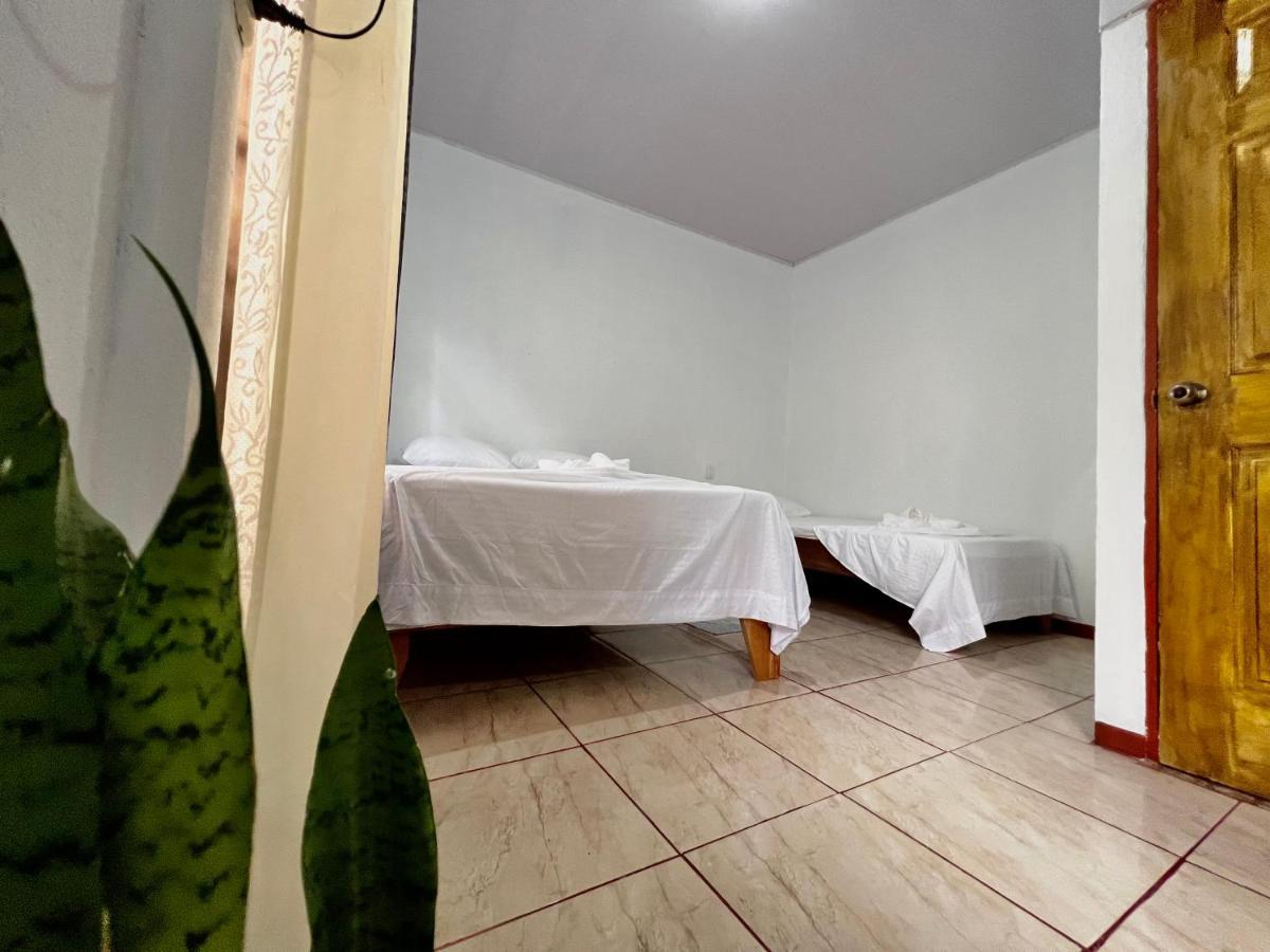 Natural Experience House Tortuguero Bagian luar foto