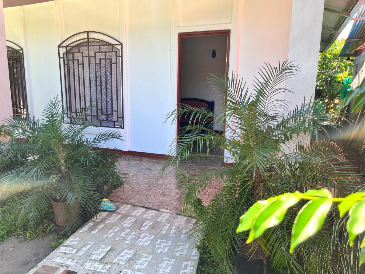 Natural Experience House Tortuguero Bagian luar foto