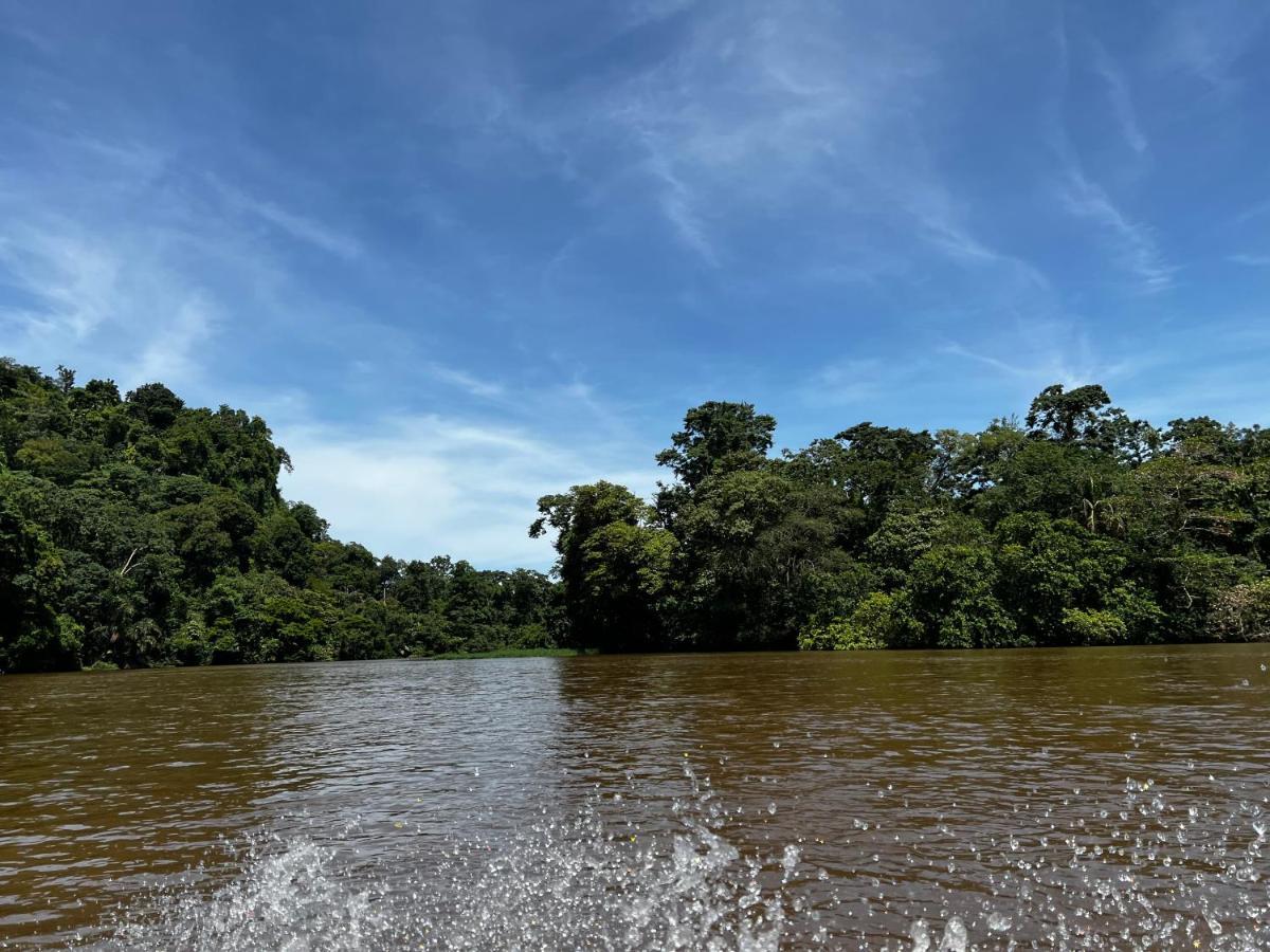 Natural Experience House Tortuguero Bagian luar foto
